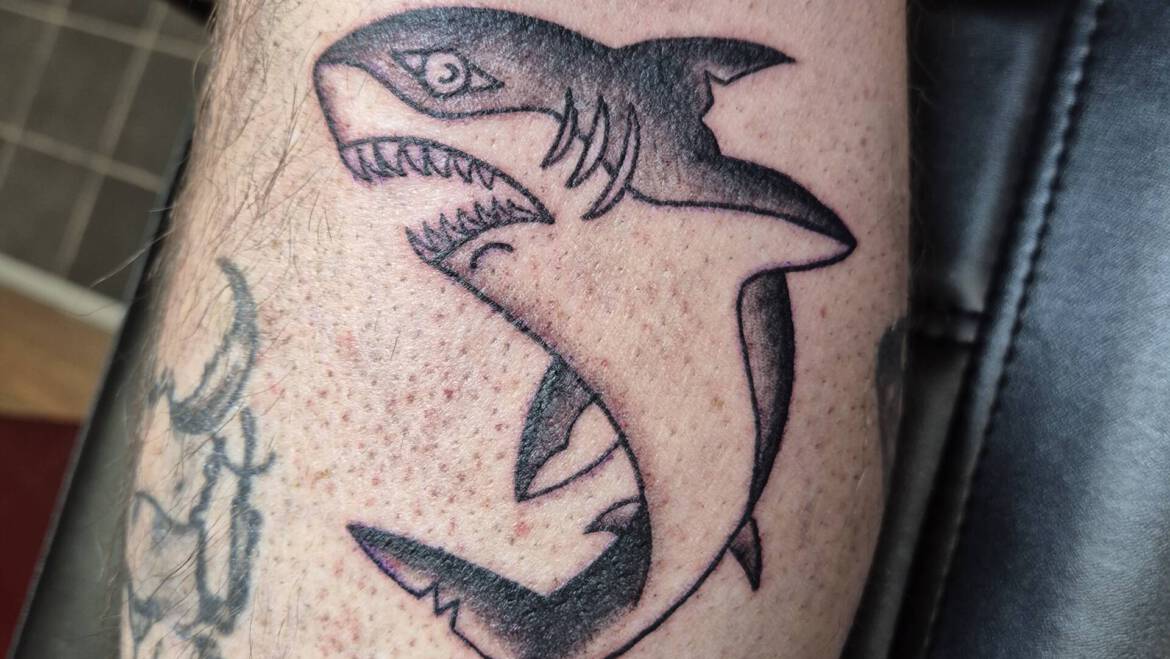 Shark