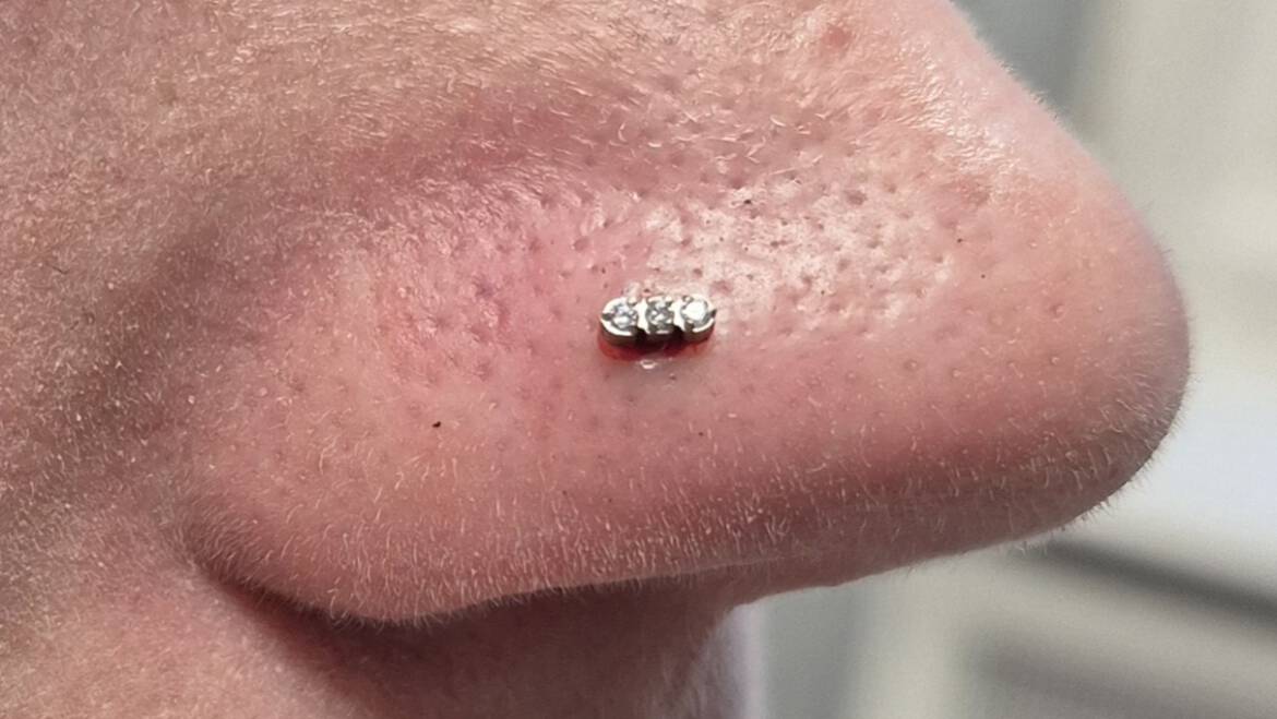 neus piercing